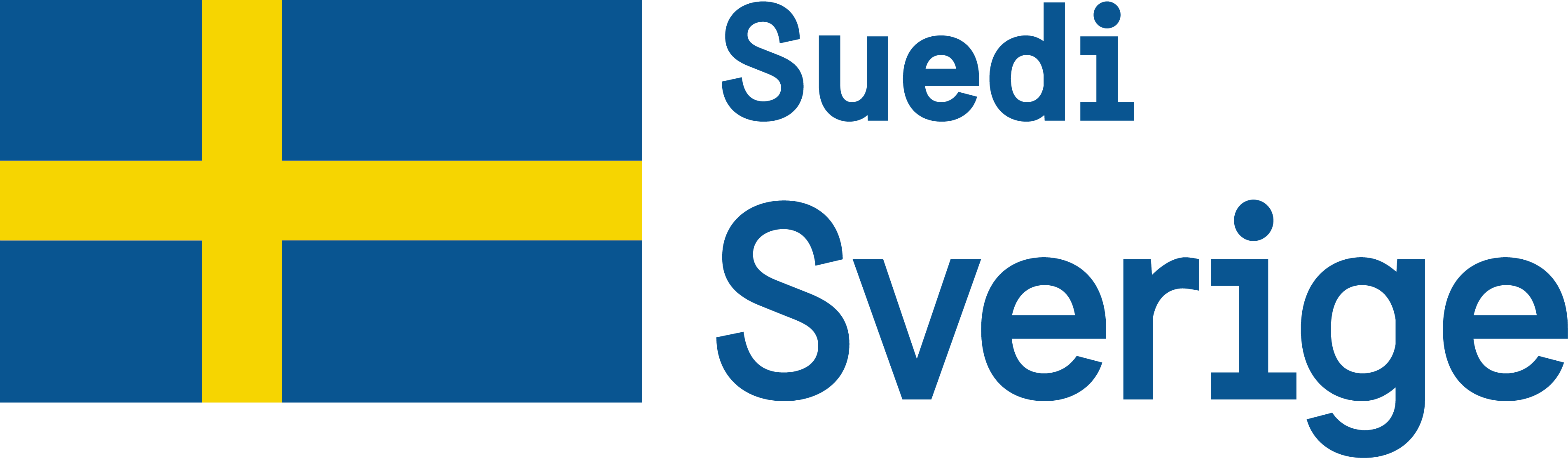 logotype_ok.png